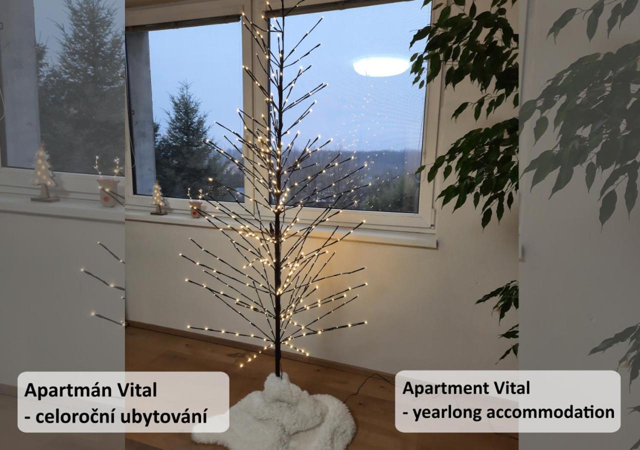 Apartman Vital Na Palave - Ubytovani & Zivotni Restart Pasohlávky Exterior foto