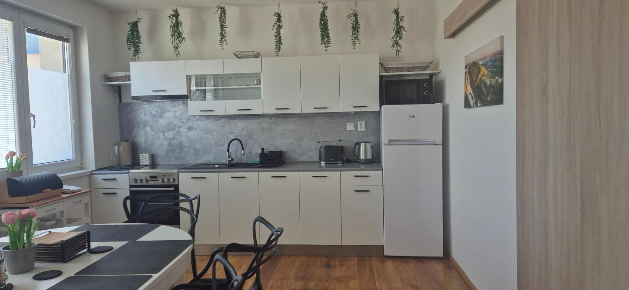 Apartman Vital Na Palave - Ubytovani & Zivotni Restart Pasohlávky Exterior foto
